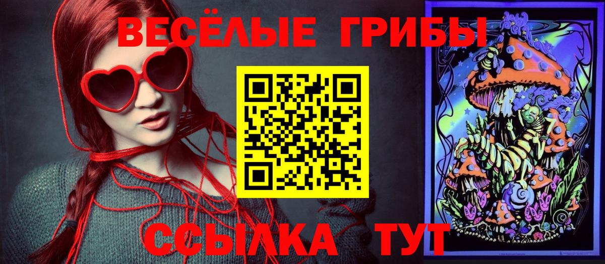 Галлюциногенные грибы MAGIC MUSHROOMS Сердобск