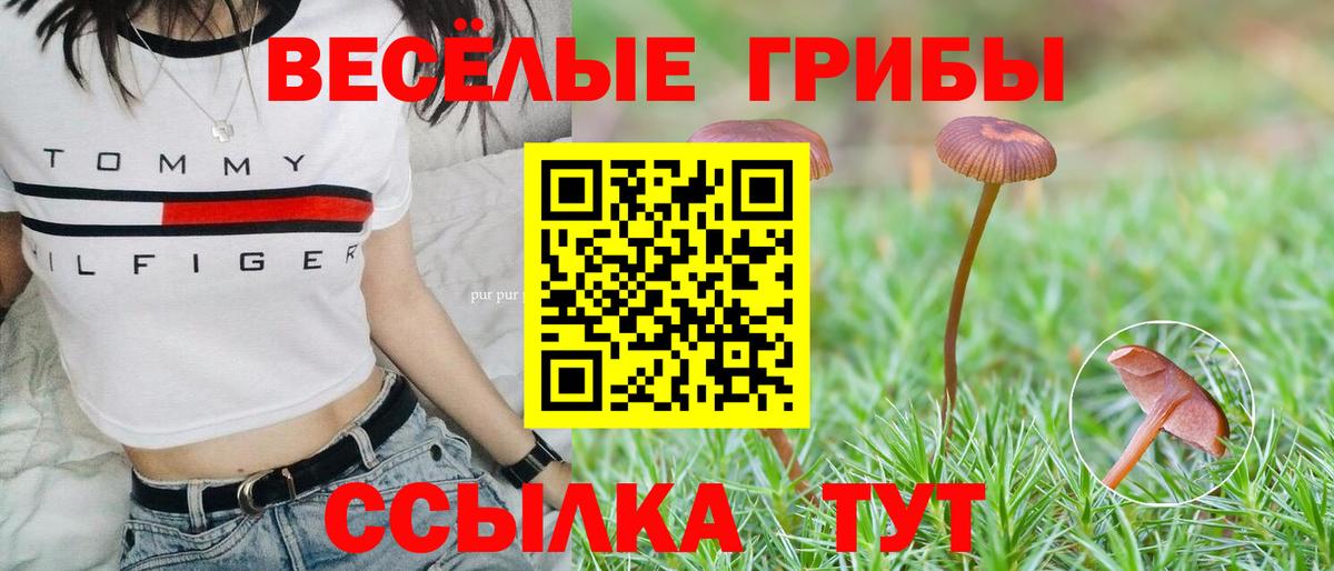 где найти наркотики  Псилоцибиновые грибы Magic Shrooms  Сердобск  Вход с VPN  Псилоцибиновые грибы MAGIC MUSHROOMS 
